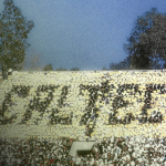 A stadium scene with flip cards spelling out the word 'Caltech' - representing the 1961 Rose Bowl Hoax